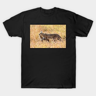 Serval Cat & Kitten, Serengeti, Tanzania T-Shirt